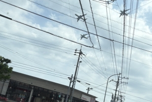 鳥取 米子 皆生温泉のソープランド ロイヤルの写メ日記　✈️✈️画像